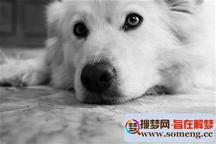 十二时辰对照表,生辰八字时辰查询表