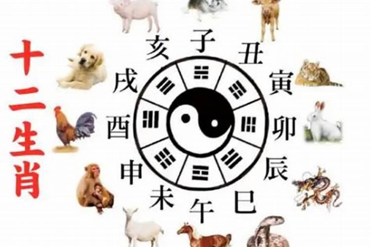 第一运程2025年4月23日十二生肖运势