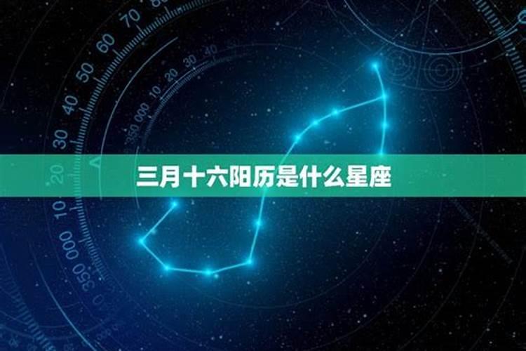 2025生肖狗的运势大全 属狗人2025年每月运势