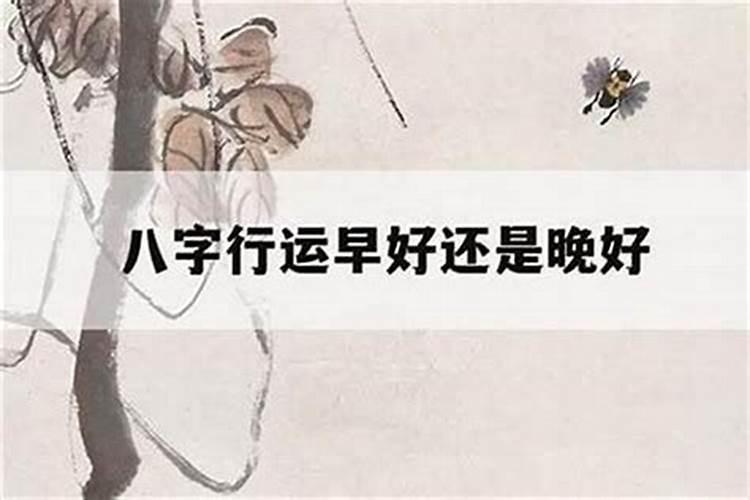 算命先生说我八岁行运,请问行运是什么意思？麻烦详解。