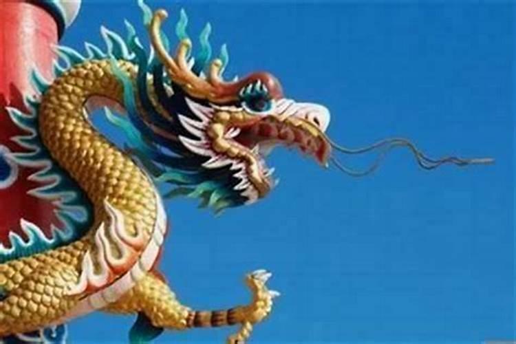 什么属相养什么花招财