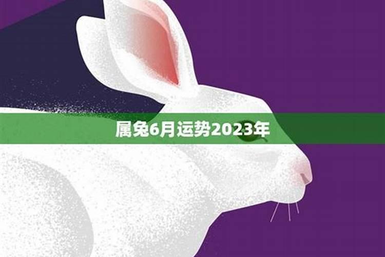 属狗未来十年的运势