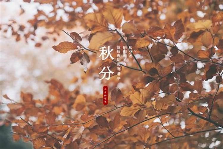 传统24节气与性格的关系
