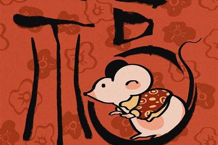 老鼠和兔子属相合不合