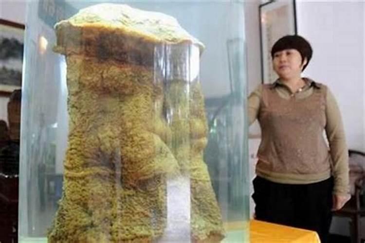 太岁怎么形成的？
