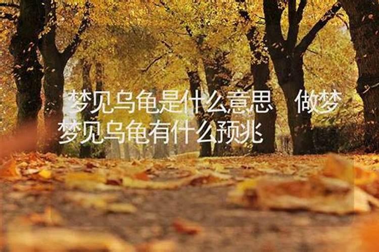 属兔男人一生财运如何,属兔的事业运怎么样