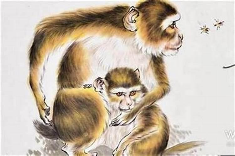 猴遇鼠为什么有福气男92猴女96鼠八字合吗