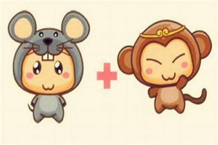 算婚姻:属鼠男和属猴女八字相合吗 婚姻好吗