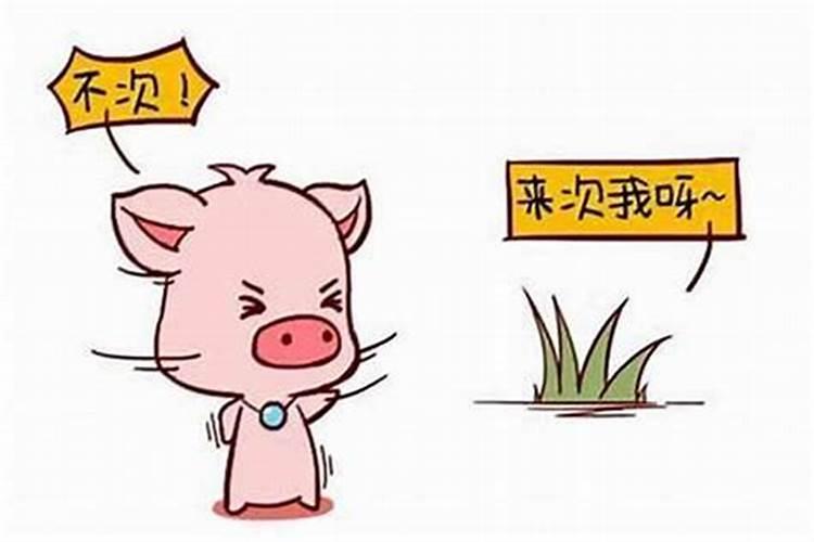 属鼠男和属猪女婚配怎么样 男鼠和女猪相配吗？