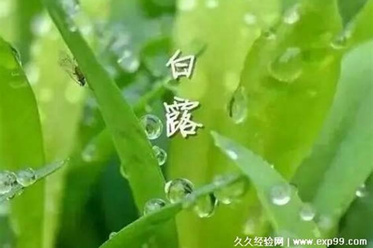 戊申戊申月