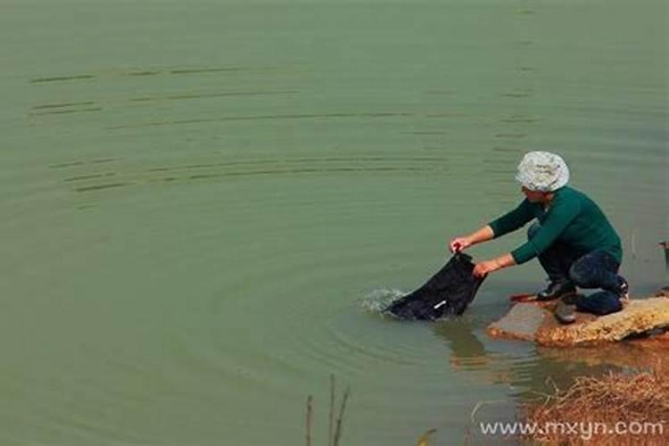 梦见洗衣机溢水