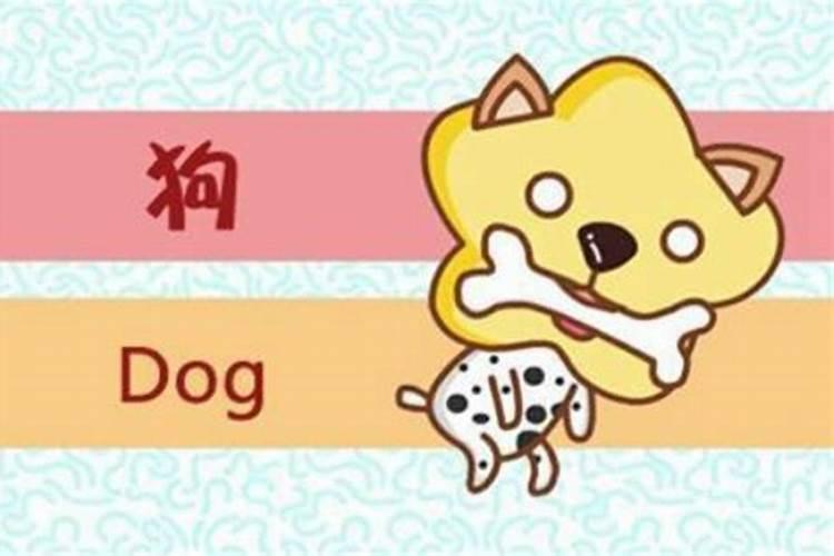 八字中辰戌丑未是四库吗？