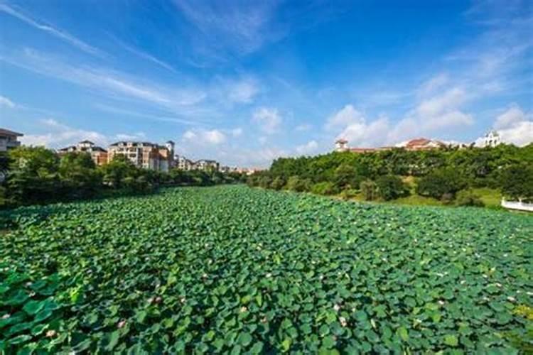 江门白水带风景区