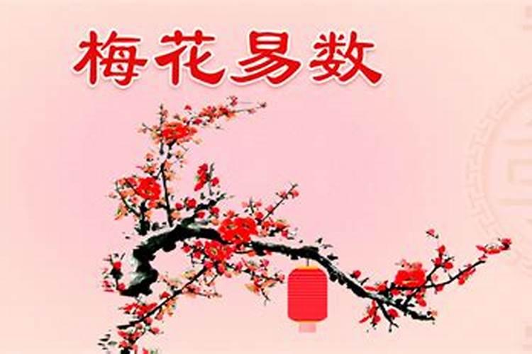 86年虎2025年每月运势