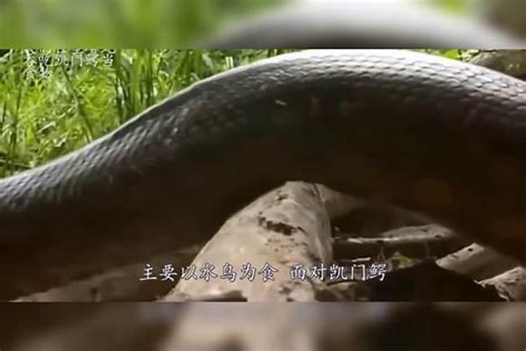 梦见自己上楼梯上不去的预兆