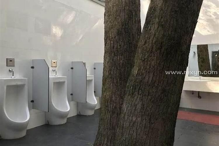 生肖相克,我们的感情受挫。父母让我们分手。我不知怎么办？为什么会有...