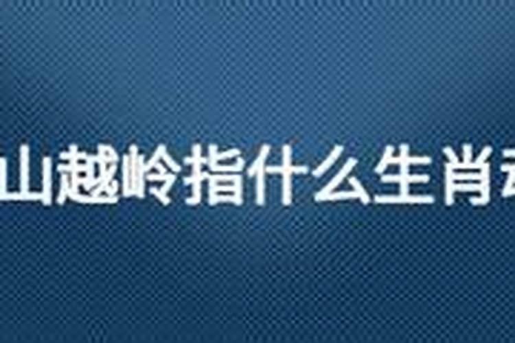 翻山越岭打一正确生肖