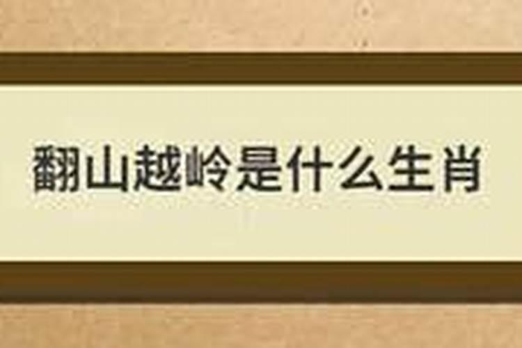 翻山越岭代表什么生肖