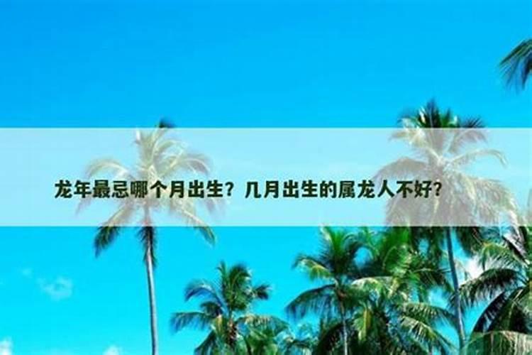 十一月份的龙是什么命