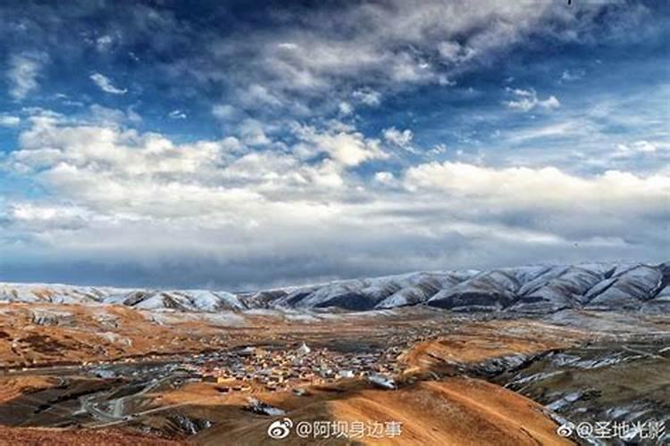 虎年生肖龙运势怎么样 各方面运势详解