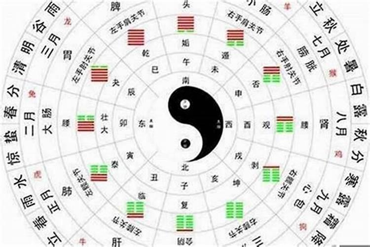 如何判断自己是金木水火土命