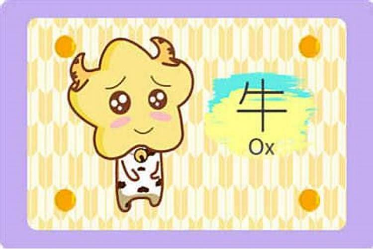 属龙未时出生的男孩 女孩命运如何？