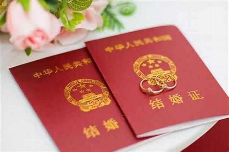 梦见树上结满又红又大苹果