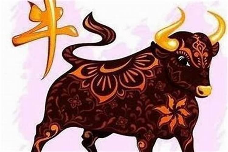 合姻缘:属牛的女人和属牛男配吗 能白头到老吗