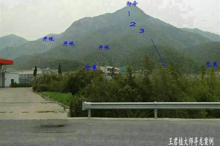 74年农历七月初七什么命