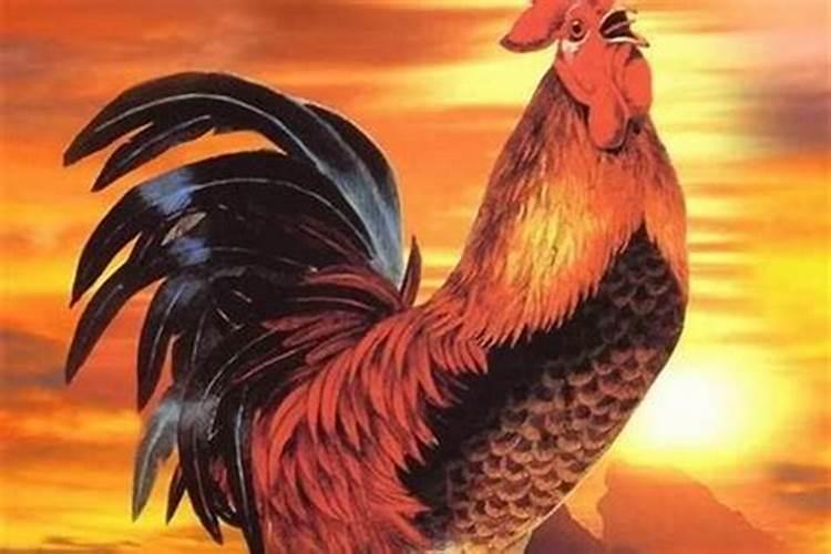 2025年5月22日属鸡的运势