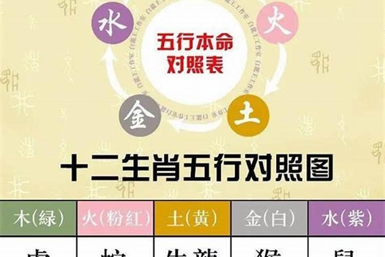 五行怎么看自己属于什么