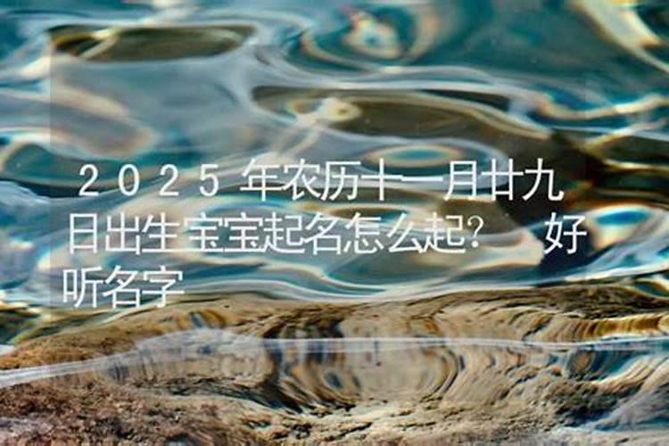 属鼠的人2025年运势及运程