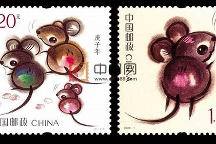 农历十一月出生的鼠是什么命,属鼠11月出生是什么命