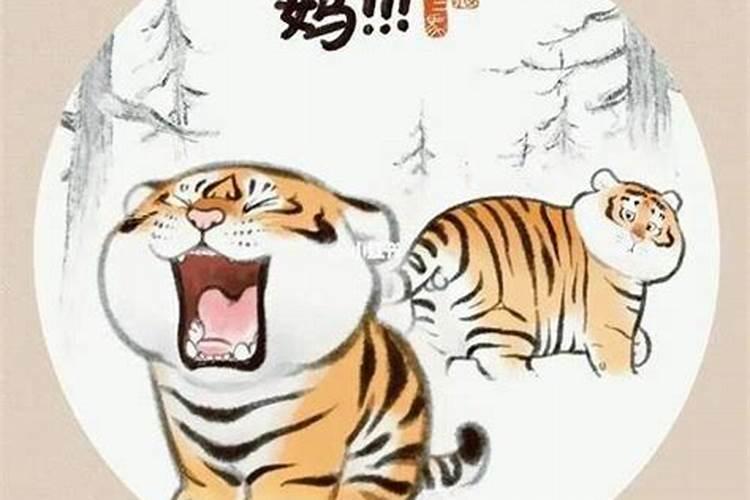 几斤几两几钱查询表