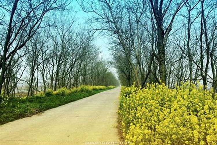 2024年属鼠刑太岁要注意什么 生肖鼠在兔年犯太岁化解方法(讲解)百度知...
