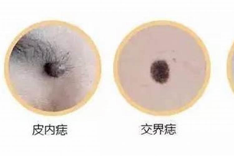 梦见自己的汽车被别人开翻了的预兆