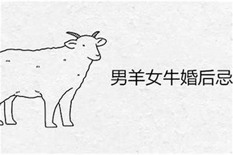 属羊的最佳配偶是什么？