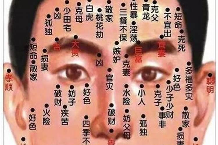 阴历一九八七年十二月十九日阳里是多少？