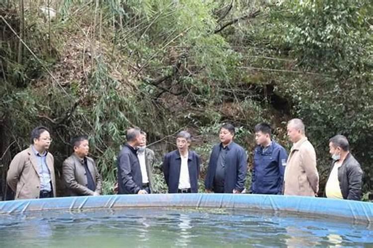 祭拜婴灵 给婴灵立神主牌 是要找神婆还是去什么庙里？求具体答案百度知 ...