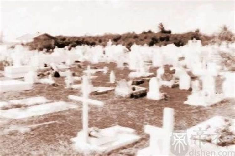 65年属蛇五行属什么命
