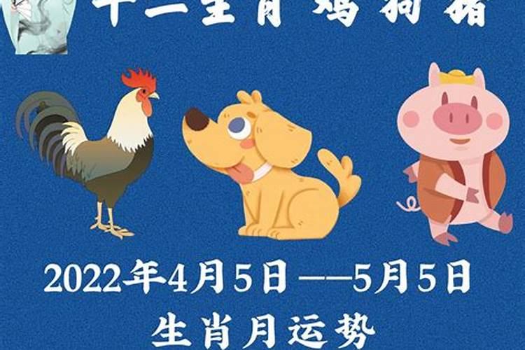 生肖鼠1996年2025年运势如何 生肖鼠1996年2025年全年运势
