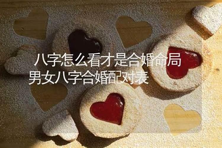 马日冲鼠属相马能结婚吗,属马人属马人在鼠年运势如何？