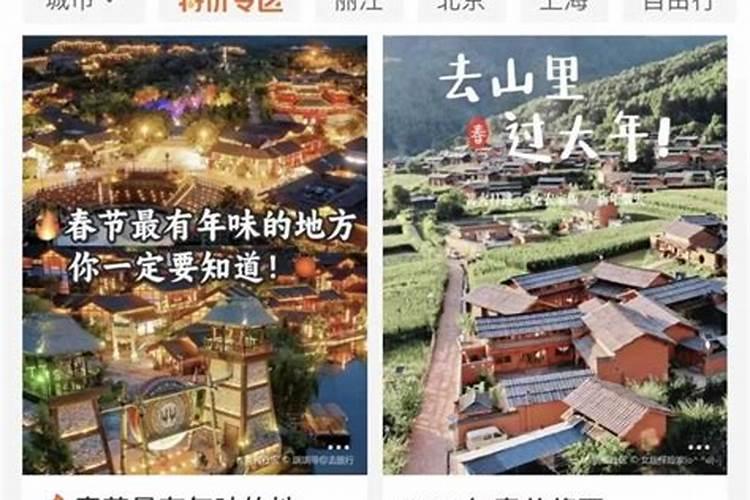 一九九三年正月初二到底属什么？是猴还是鸡