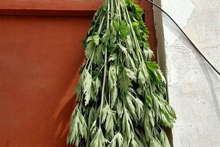 艾蒿怎么挂在门上挂几根为宜