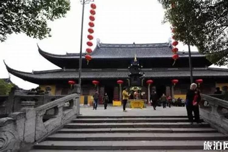 梦里梦见山楂树