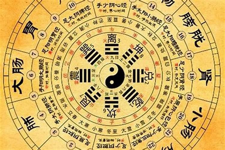 梦见老婆给我又生了一个儿子