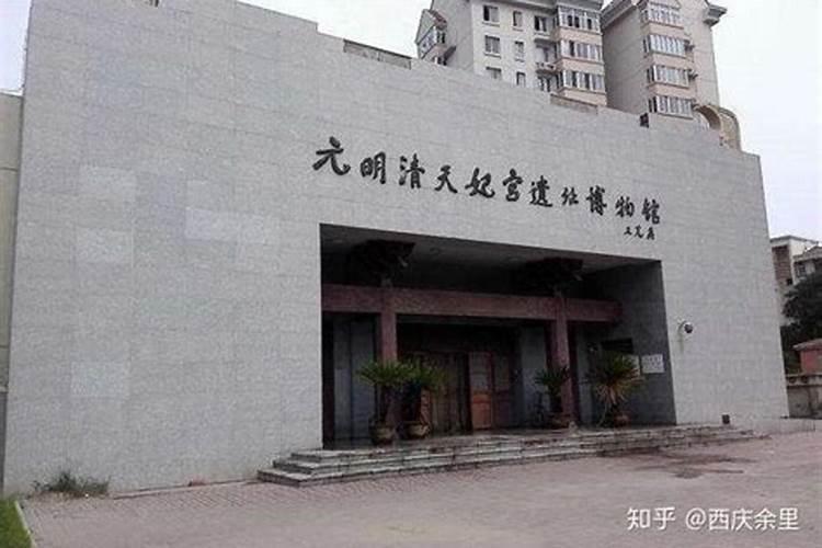 九六年属鼠2025年运势
