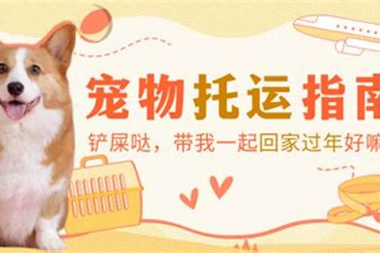 梦到熟人死了是吉还是凶