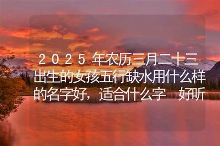 属猪在2025蛇年的运气如何