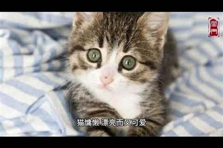 请高人指点,母子八字是否不合,该怎么化解？是否会分离？